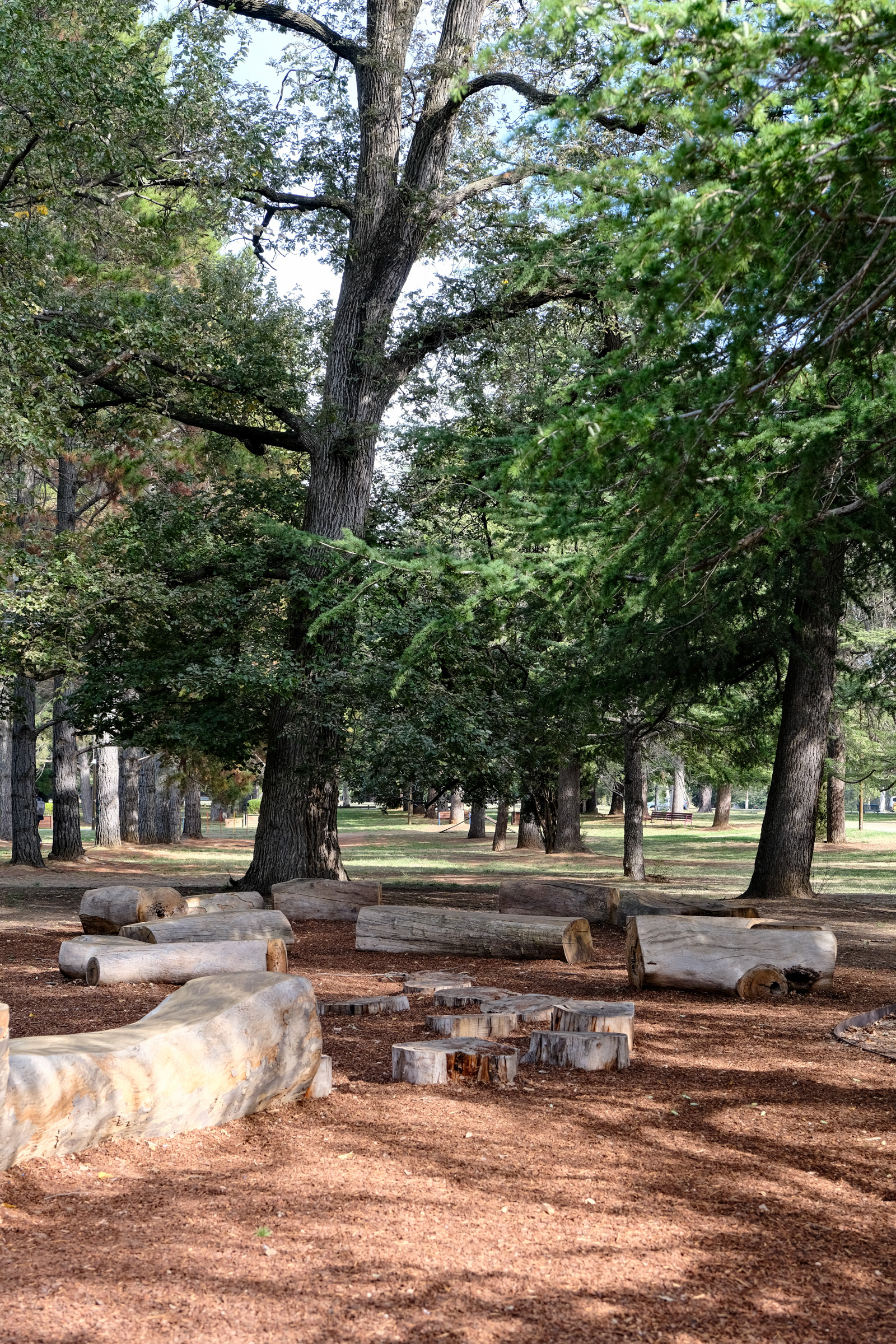Haig park